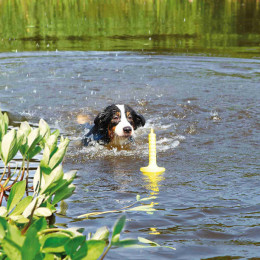 Jeu Aquatique Mot®-aqua, Pour Chien - Trixie - Tr-32331