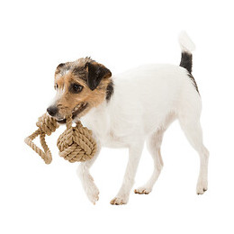 Be Nordic Corde De Jeu Avec Balle Tressée. Dimensions: Ø 8/30 Cm. Pour Chiens. - Trixie - Tr-32633