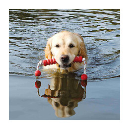 Jouet Aquatique Pour Chien "mot-long" 20 X42 Cm Coloris Aléatoire - Trixie - Tr-3241