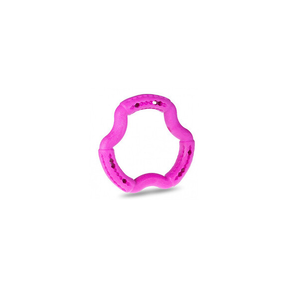 Anneau Tpr Rose Fraise 12 Cm. Pour Chien. - Vadigran - Va-13458
