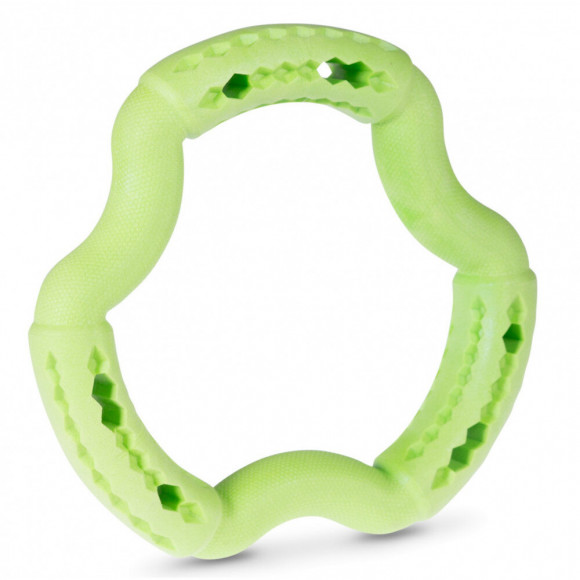 Anneau Tpr Vert Pomme 21 Cm. Pour Chien. - Vadigran - Va-13456