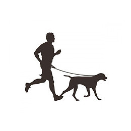 Canicross Laisse Pour Chien 140 Cm - Flamingo Pet Products - Fl-504916