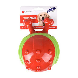 Balle Forme Escargot Rouge-vert Ø13 Cm Pour Chien - Flamingo Pet Products - Fl-518654