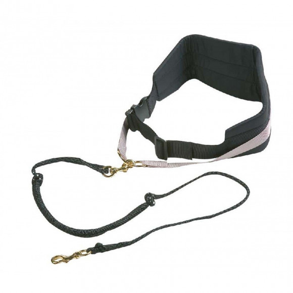 Canicross Laisse Pour Chien 140 Cm - Flamingo Pet Products - Fl-504916