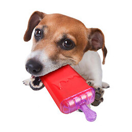 Jouet Rafraîchissant Lolly. En Tpr. 16 Cm. Pour Chien - Flamingo Pet Products - Fl-518865