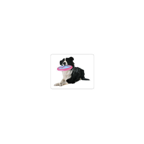 Frisbee Amelia Ø 22 Cm . Jouet Pour Chien - Flamingo Pet Products - Fl-519568