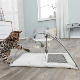 Trixie Tapis Griffoir - 60 X 33 X 42 Cm - Avec Jouets Suspendus A Un Fil - Gris Clair - Pour Chat