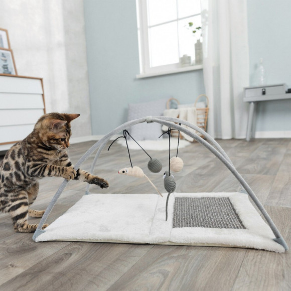 Trixie Tapis Griffoir - 60 X 33 X 42 Cm - Avec Jouets Suspendus A Un Fil - Gris Clair - Pour Chat