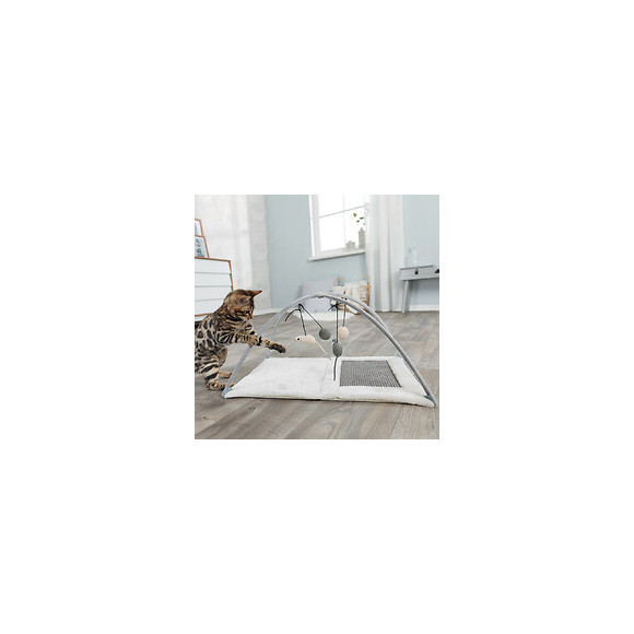 Trixie Tapis Griffoir - 60 X 33 X 42 Cm - Avec Jouets Suspendus A Un Fil - Gris Clair - Pour Chat