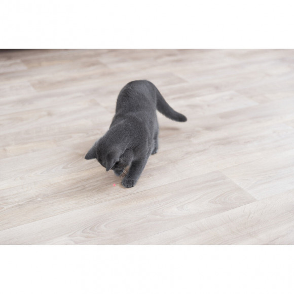 Jeux À Lumière Pour Chat. Moving Light. Dimension : 11 Cm. - Trixie - Tr-41311