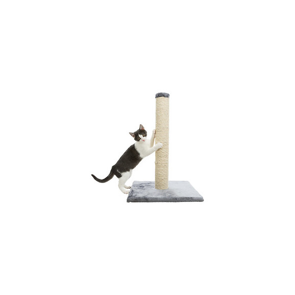 Poteau Griffoir Parla, Hauteur De 62 Cm. Pour Chats - Trixie - Tr-43332