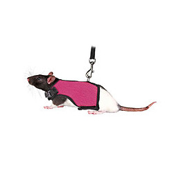 Harnais Doux Avec Laisse 1.2 M Pour Rats - Trixie - Tr-61511