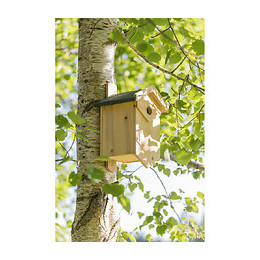 Trixie Nichoir Nichant Dans Les Cavites, 25 X 40 X 22 Cm Et O 2,7 Cm - Pour Oiseau