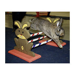 Obstacle Agility Kaninhop, Pour Rongeurs Et Lapins, Taille: 62 Cm Par 33 Cm Et 34 Cm - Kerbl - Ke-82855