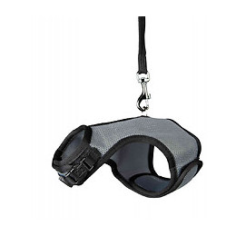 Harnais Doux Avec Laisse 1.2 M, Pour Lapins Nains. Couleur Aléatoire. - Trixie - Tr-61513