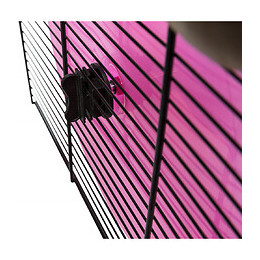 Roue D'exercice, Taille Ø 20 Cm, Pour Petit Rongeurs, Couleurs Aléatoires. - Trixie - Tr-61010