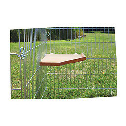 Abri Et Plateforme Pour Rongeurs 17x17 Cm - Trixie - Tr-62165