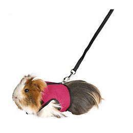 Harnais Doux Avec Laisse 1.2 M Pour Cochons D'inde - Trixie - Tr-61512