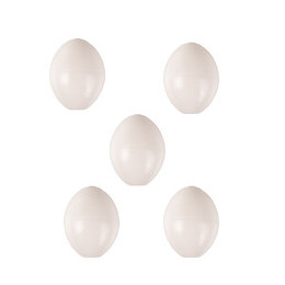 5 Oeufs Pour Perruche,  Artificiel En Plastique. - Animallparadise - Ap-110212-x5