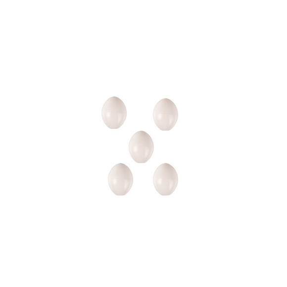 5 Oeufs Pour Perruche,  Artificiel En Plastique. - Animallparadise - Ap-110212-x5