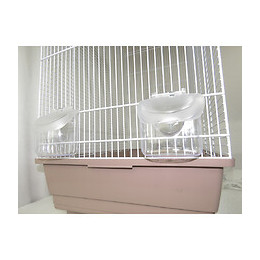 Cage  Ambra. 56,5 X 36,5 X 74 Cm. Blanche Et Vieux Rose. Pour Oiseaux. - Vadigran - Va-5480