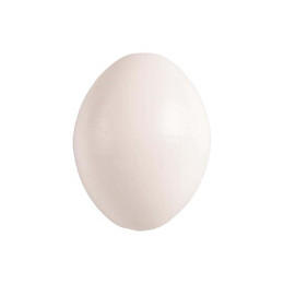 5 Œufs Pigeon Artificiel En Plastique. - Flamingo Pet Products - Fl-110213-x5
