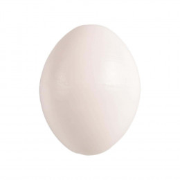 5 Œufs Pigeon Artificiel En Plastique. - Flamingo Pet Products - Fl-110213-x5