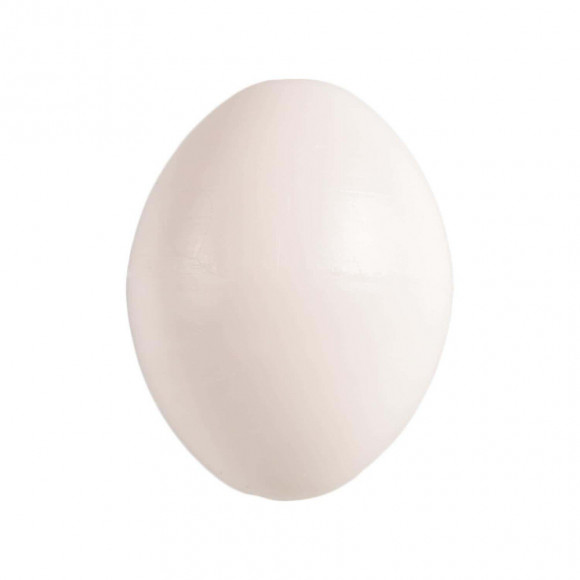 5 Œufs Pigeon Artificiel En Plastique. - Flamingo Pet Products - Fl-110213-x5