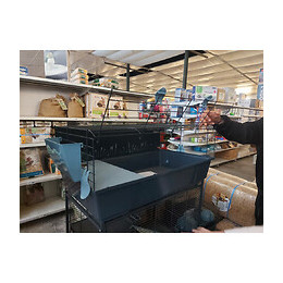 Cage Indoor2.  120 Ciel . Pour Rongeur.123 X 67 X Hauteur 39 Cm. - Zolux - Zo-205114