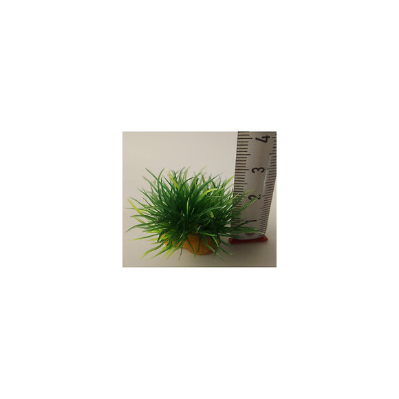 16 Petits Buissons.  Déco Plant Kit Idro . Hauteur 3 Cm. Ø 3.5 Cm Environ. - Zolux - Zo-352171