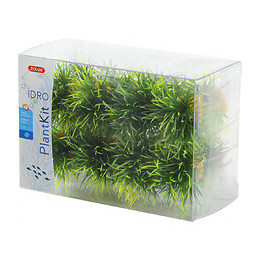 16 Petits Buissons.  Déco Plant Kit Idro . Hauteur 3 Cm. Ø 3.5 Cm Environ. - Zolux - Zo-352171