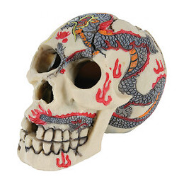 Décoration Crane Taille S Ø Environ 7 Cm - Zolux - Zo-354159