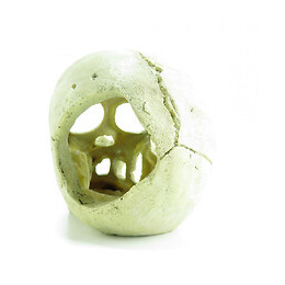 Crâne 15 Cm, Décoration Aquarium. - Trixie - Tr-8713