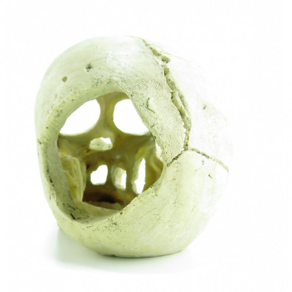 Crâne 15 Cm, Décoration Aquarium. - Trixie - Tr-8713