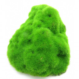 Lot De 3 Galets . Ki Pouss. 6.7 X 9.4 X 3 Cm. Décoration Aquarium. - Animallparadise - Ap-0003