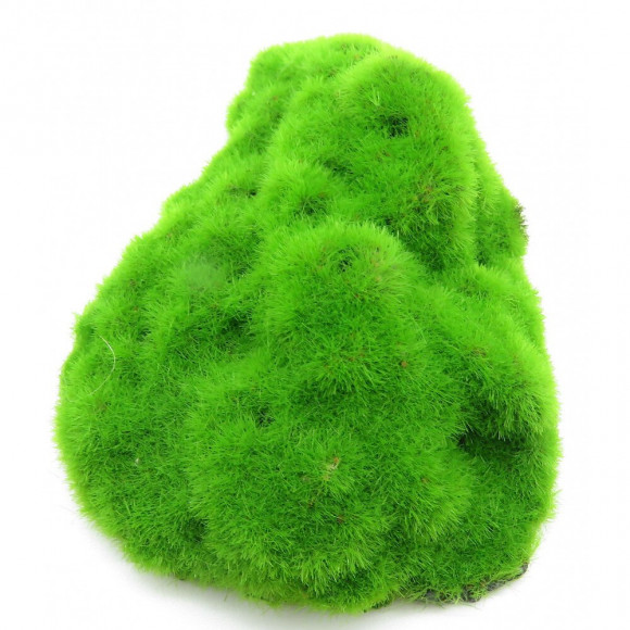 Lot De 3 Galets . Ki Pouss. 6.7 X 9.4 X 3 Cm. Décoration Aquarium. - Animallparadise - Ap-0003