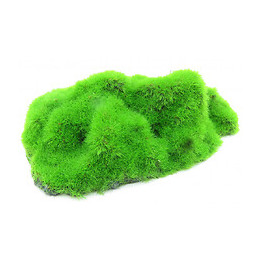 Lot De 3 Galets . Ki Pouss. 6.7 X 9.4 X 3 Cm. Décoration Aquarium. - Animallparadise - Ap-0003