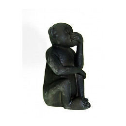 Décoration Singes Vue, Langage , Ouïe. Pour Aquarium. - Animallparadise - Ap-0007