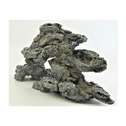 Bois Fossilisé 34 X 10 X16 Cm . Décoration Aquarium. - Vadigran - Va-15529