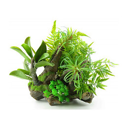 Racine Et Plante . 36 X 31 X 37 Cm. Décoration Aquarium. - Flamingo Pet Products - Fl-410185
