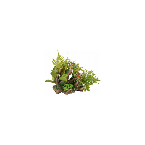 Racine Et Plante . 36 X 31 X 37 Cm. Décoration Aquarium. - Flamingo Pet Products - Fl-410185