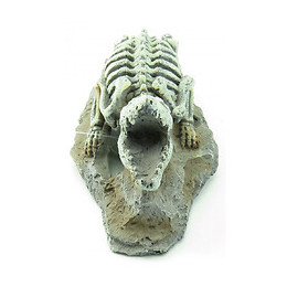 Squelette Crocodile, Skelo, Taille:  20 X 8 X 6 Cm. Décoration Aquarium - Flamingo Pet Products - Fl-410221