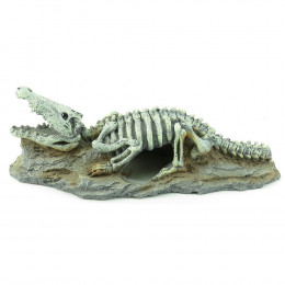 Squelette Crocodile, Skelo, Taille:  20 X 8 X 6 Cm. Décoration Aquarium - Flamingo Pet Products - Fl-410221