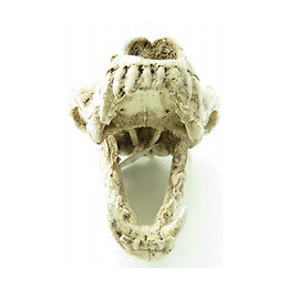 Crâne Prédateur Animaux, Taille 24 X 13 X 13 Cm,  Décoration Aquarium - Flamingo Pet Products - Fl-410220