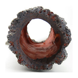 Souche Tronc D'arbre Creux.  Taille: Ø 8 X 30 Cm. Décoration Aquarium. - Flamingo Pet Products - Fl-410177