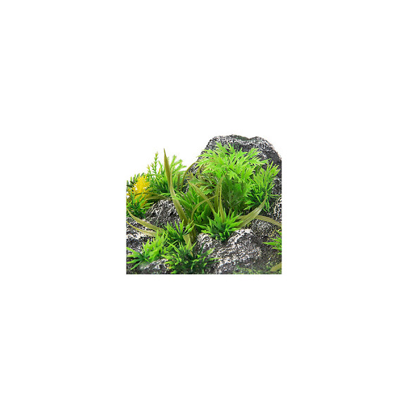 Décoration Condroz  Angle. Roche + Plante. 23 X 22 X 8.5 Cm. Aquarium. - Flamingo Pet Products - Fl-410350