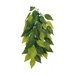 Plante Tissu À Suspendre, Ficus - Ø 20 × 50 Cm. - Trixie - Tr-76240