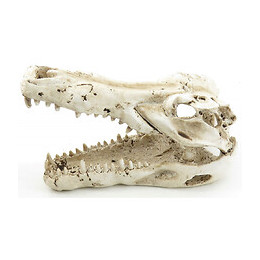 Crane De Crocodile 14 Cm Décoration Poisson - Trixie - Tr-8712