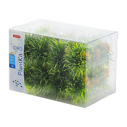 24 Petits Buissons.  Déco Plant Kit Idro . Hauteur 3 Cm. Ø 3.5 Cm Environ. - Zolux - Zo-352172