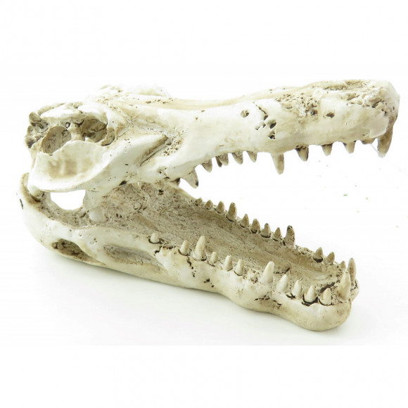 Crane De Crocodile 14 Cm Décoration Poisson - Trixie - Tr-8712